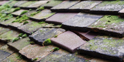 Boxford roof repair costs